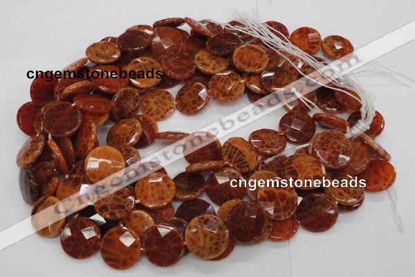 CAG638 15.5 inches 16mm faceted coin natural fire agate beads