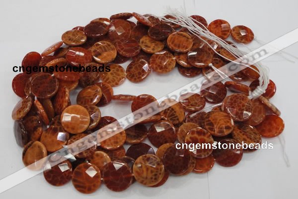 CAG639 15.5 inches 20mm faceted coin natural fire agate beads