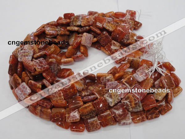CAG645 15.5 inches 20mm square natural fire agate beads wholesale