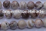 CAG6660 15.5 inches 4mm round Mexican crazy lace agate beads