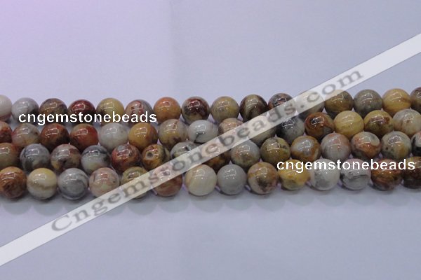 CAG6674 15.5 inches 12mm round natural crazy lace agate beads