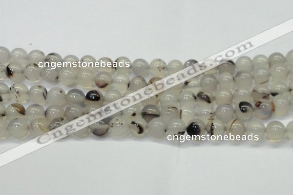 CAG6760 15 inches 6mm round Montana agate beads wholesale