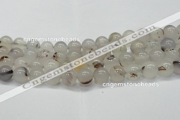 CAG6762 15 inches 10mm round Montana agate beads wholesale