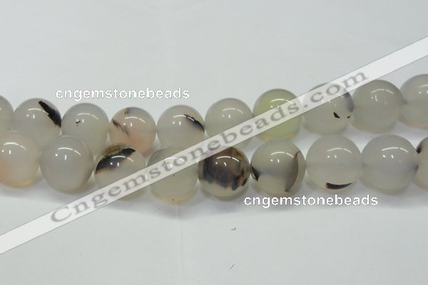 CAG6765 15 inches 16mm round Montana agate beads wholesale