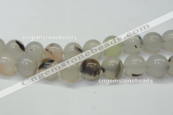 CAG6767 15 inches 20mm round Montana agate beads wholesale