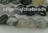 CAG6770 15.5 inches 12mm flat round Indian agate beads wholesale