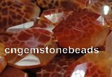 CAG682 15.5 inches 22*30mm faceted freeform natural fire agate beads