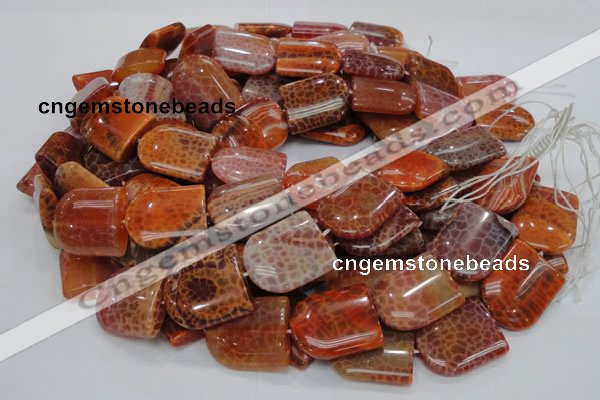 CAG684 15.5 inches 25*30mm freeform natural fire agate beads