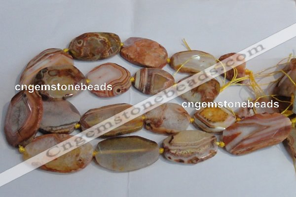 CAG7314 15.5 inches 20*30mm - 30*40mm freeform red botswana agate beads