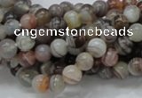 CAG735 15.5 inches 6mm round botswana agate beads wholesale