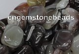 CAG737 15.5 inches 10*14mm rectangle botswana agate beads wholesale