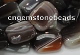 CAG739 15.5 inches 14*18mm rectangle botswana agate beads wholesale