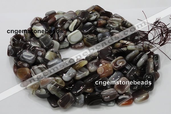 CAG739 15.5 inches 14*18mm rectangle botswana agate beads wholesale