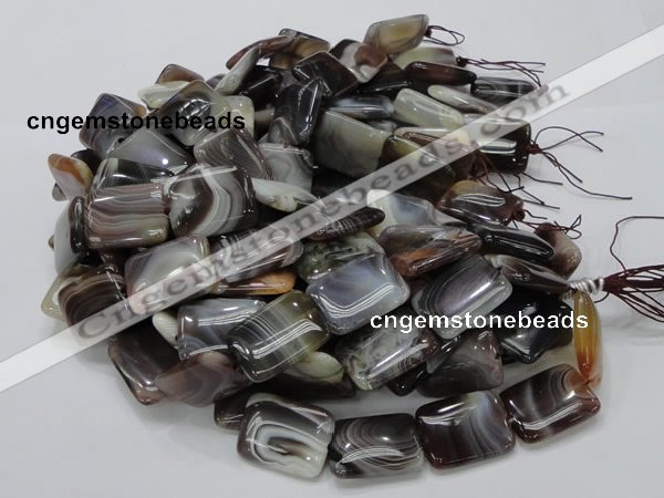 CAG741 15.5 inches 18*24mm rectangle botswana agate beads wholesale