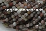 CAG742 15.5 inches 4mm faceted round botswana agate beads wholesale