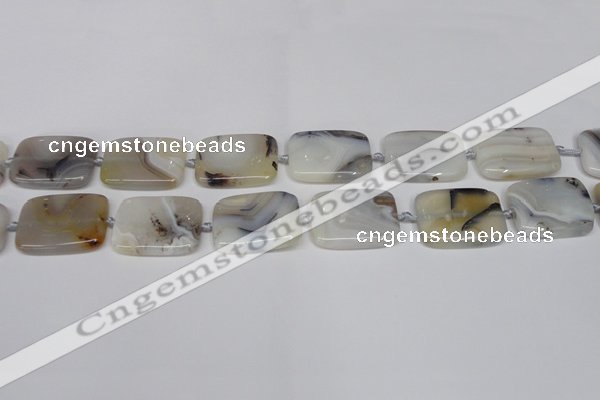 CAG7423 15.5 inches 18*25mm rectangle Montana agate beads