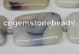 CAG7424 15.5 inches 20*30mm rectangle Montana agate beads