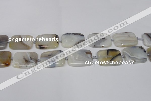 CAG7424 15.5 inches 20*30mm rectangle Montana agate beads