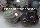 CAG748 15.5 inches 18*25mm faceted egg-shaped botswana agate beads