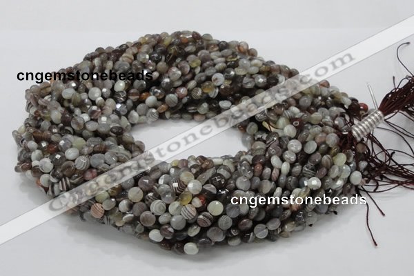 CAG749 15.5 inches 6mm faceted coin botswana agate beads wholesale