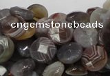 CAG751 15.5 inches 10mm faceted coin botswana agate beads wholesale