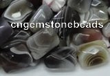 CAG759 15.5 inches 10*14mm faceted rectangle botswana agate beads