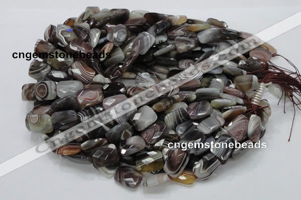 CAG760 15.5 inches 14*18mm faceted rectangle botswana agate beads