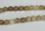 CAG936 16 inches 6mm round madagascar agate gemstone beads