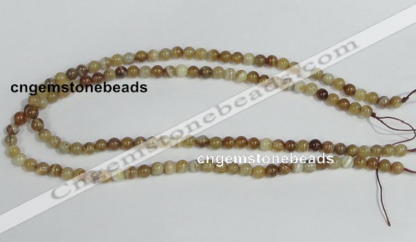 CAG936 16 inches 6mm round madagascar agate gemstone beads