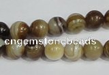 CAG938 16 inches 10mm round madagascar agate gemstone beads