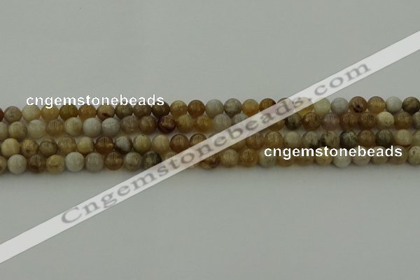 CAG9401 15.5 inches 6mm round ocean fossil agate beads wholesale