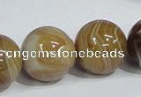 CAG943 16 inches 20mm round madagascar agate gemstone beads