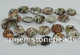 CAG9695 15.5 inches 22*30mm - 25*35mm freeform ocean agate beads