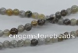 CAG970 15.5 inches 4mm round bamboo leaf agate gemstone beads