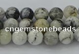 CAG9731 15.5 inches 6mm round black & white agate beads wholesale