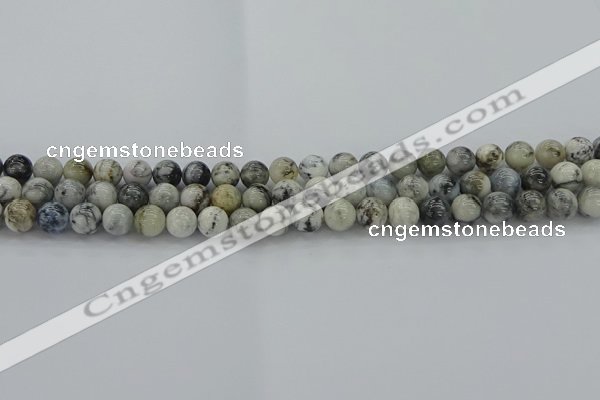 CAG9731 15.5 inches 6mm round black & white agate beads wholesale