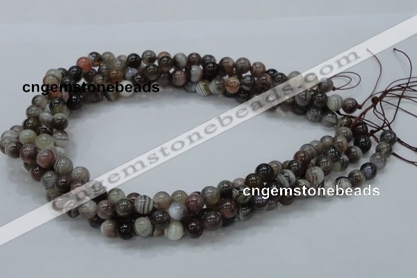 CAG980 15.5 inches 10mm round botswana agate beads wholesale