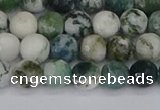 CAG9838 15.5 inches 6mm faceted round tree agate beads