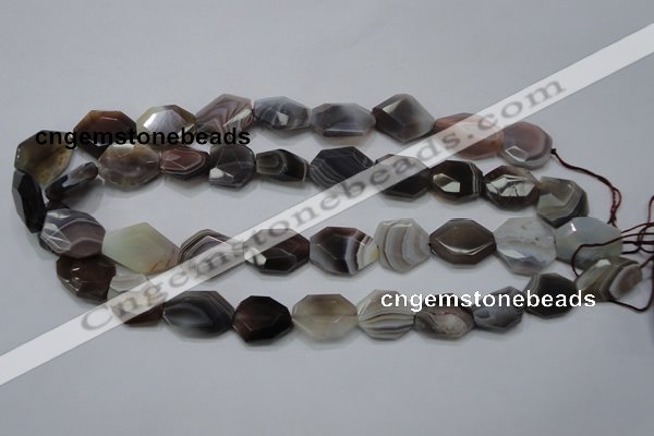 CAG990 15.5 inches 15*20mm faceted freeform botswana agate beads