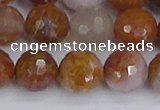 CAG9914 15.5 inches 12mm faceted round red moss agate beads