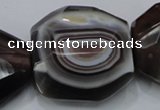 CAG992 15.5 inches 30*40mm faceted freeform botswana agate beads