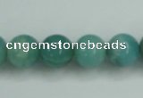 CAM137 15.5 inches 12mm round amazonite gemstone beads wholesale