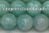 CAM1688 15.5 inches 10mm round natural amazonite beads wholesale