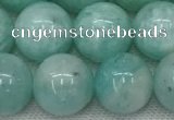 CAM1693 15.5 inches 10mm round natural amazonite gemstone beads