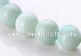 CAM19 15.5 inches 12mm natural amazonite round beads Wholesale