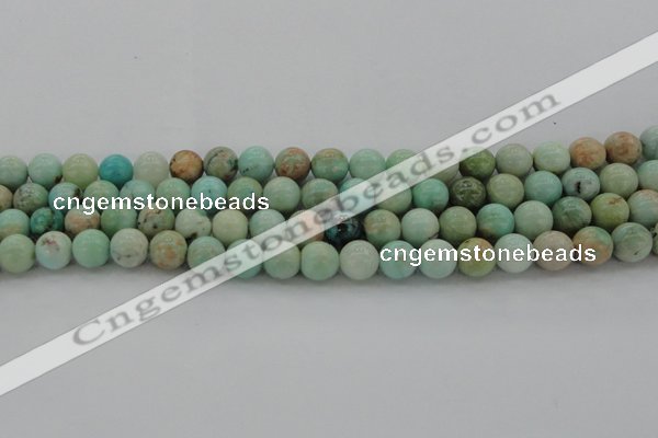 CAM323 15.5 inches 10mm round natural peru amazonite beads