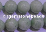 CAM756 15.5 inches 16mm round natural amazonite gemstone beads
