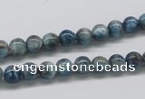 CAP05 15.5 inches 6mm round apatite gemstone beads wholesale