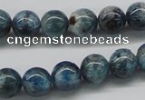 CAP06 15.5 inches 10mm round apatite gemstone beads wholesale