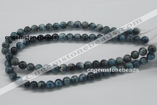 CAP06 15.5 inches 10mm round apatite gemstone beads wholesale